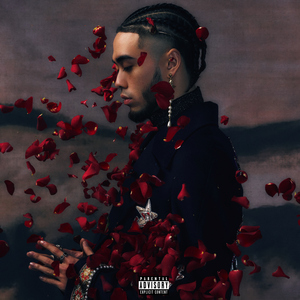 美女高清黄色片
