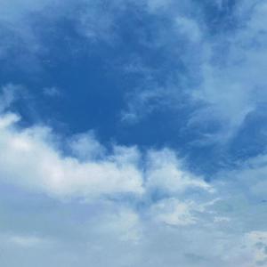 美女高清黄色片
